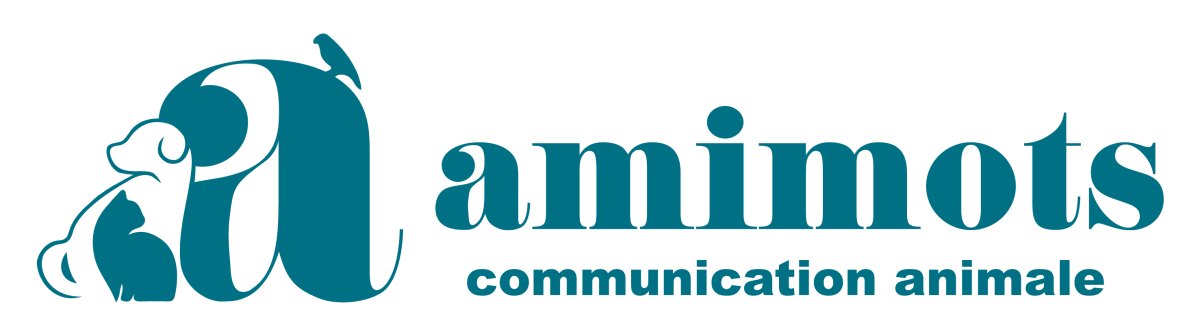 Amimots